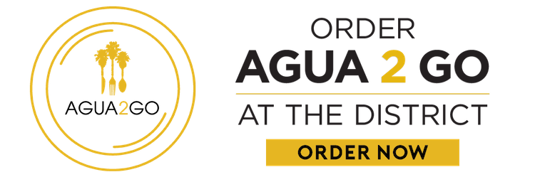 agua togo order now
