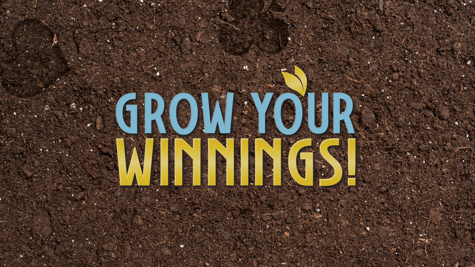 Grow Your Winnings