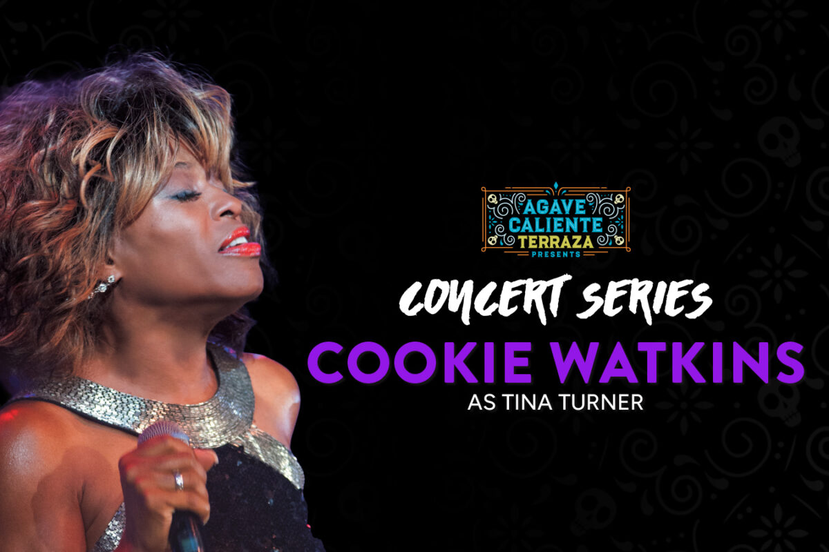 Cookie Watkins As Tina Turner
